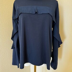 Banana Republic Navy Pleated Ruffle Long Sleeve Top – Size M
